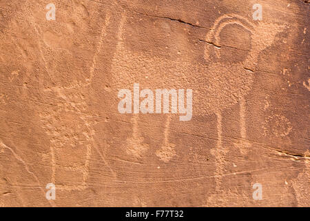 Petroglyph shapes and figures carved into sandstone, Dinosaur National Monument Stock Photo