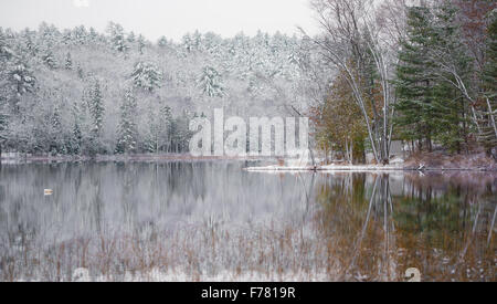 Winter Mirage on the lake.  Like a mirror, the water so still reflects the forests next to it. Stock Photo