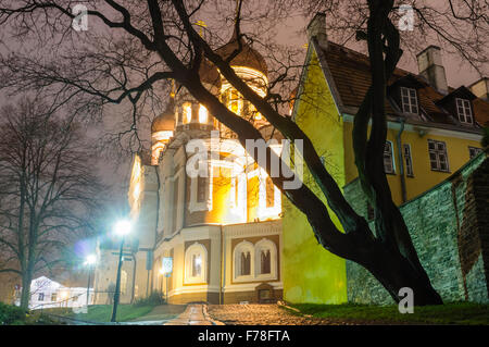 Alexander Nevsky Cathedral by night. Tallinn, Estonia Stock Photo