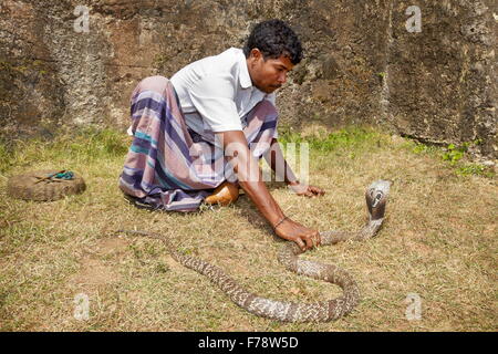 Sri Lanka - Galle, snake charmer Stock Photo