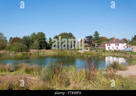 Pond on West Common, Gerrard's Cross, Buckinghamshire, England, United Kingdom Stock Photo