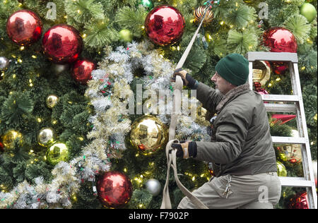 Seattle, Washingtion, USA. 23rd Nov, 2015. Workers assembled Seattle's Christmas tree outside Westlake Center Mall in the downtown on Monday afternoon in preparation for the city's tree lighting ceremony scheduled for Friday, November 27th. Seattle's tree lighting ceremony, held along Pine St. between 4th and 5th Avenues is the traditional start to the holiday season in Seattle. © David Bro/ZUMA Wire/Alamy Live News Stock Photo