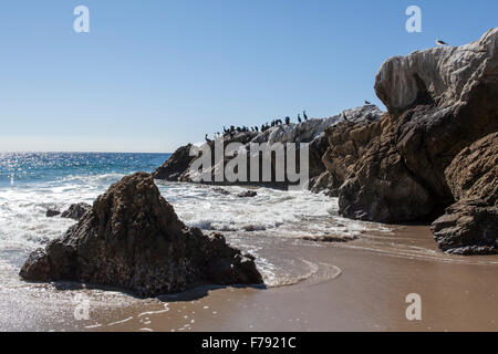 Rock formations at Leo Carrillo Beach State Park in Malibu California during the summer at low tide. Stock Photo