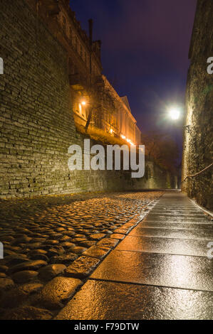 Pikk Jalg (Long Leg) street, Tallinn, Estonia. Long exposure night view Stock Photo