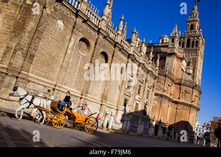 Cathedral and Giralda tower from Plaza del Triunfo,Sevilla,Andalucía,Spain Stock Photo