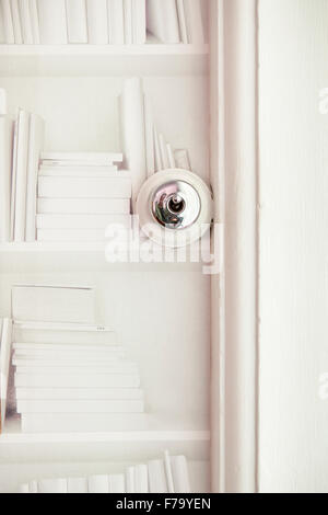 Light switch and book wallpaper in Sydney home of designer and Heritage Consultant Janine Hendry. Stock Photo