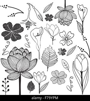 flower and leaf hand drawn sketch doodle black and white illustration Stock Vector