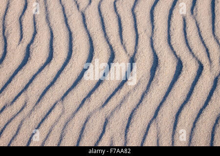 Wavy lines in sand, Weststrand Beach, Baltic Sea, Born auf dem Darß, Fischland-Darß-Zingst, Western Pomerania Lagoon Area Stock Photo