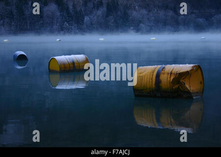 Rusty oil barrels floating on the water Stock Photo