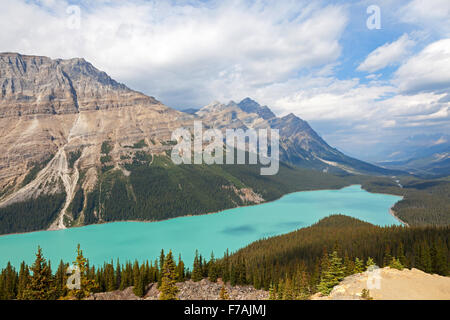 Peyto Lake is a glacier-fed lake located in Banff National Park in the Canadian Rockies Alberta Canada Stock Photo