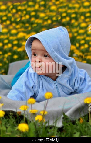 Cute infant lying on a blanket in the dandelions. Stock Photo