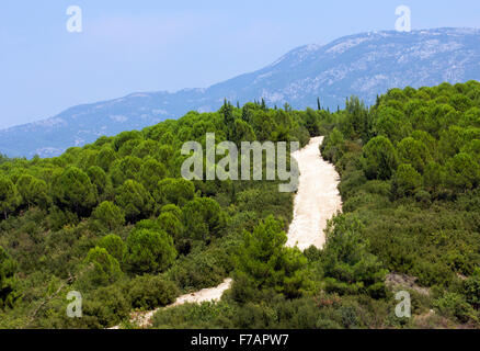 Izmir white road running through green forest Stock Photo