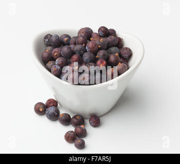 Juniper seeds in a white bowl isolated Stock Photo