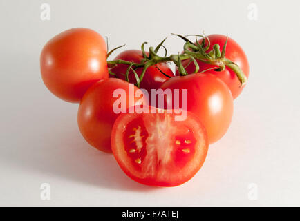 Tomatoes on the vine against a white background Stock Photo