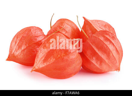 Close up of cape Gooseberry or Physalis fruit on white background Stock Photo