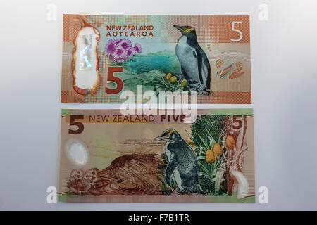 New updated and old   five kiwi dollar $5  New Zealand  bank notes,NZD  reverse side Stock Photo