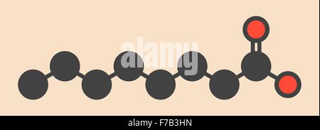 Caprylic (octanoic) acid molecule. Common saturated medium-chain fatty acid. Stylized skeletal formula (chemical structure). Stock Photo