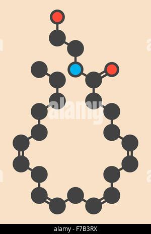 Anandamida hi-res stock photography and images - Alamy