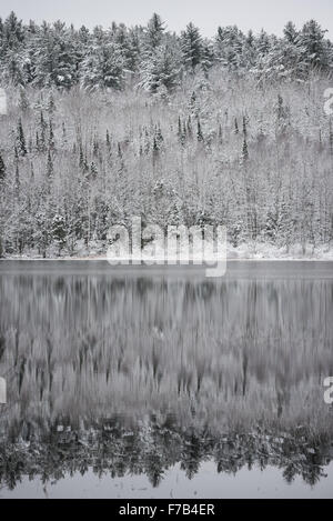 Winter Mirage on the lake.  Like a mirror, still waters reflect the forests next to it. Stock Photo