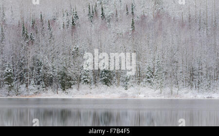 Winter Mirage on the lake.  Like a mirror, still waters reflect the forests next to it. Stock Photo