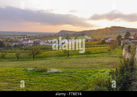 Autumn in vinery village of Jois at Lake Neusiedler See, Burgenland, Austria, Jois Stock Photo