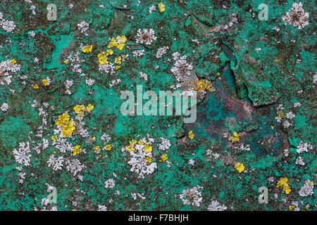 Green electric colored background Stock Photo