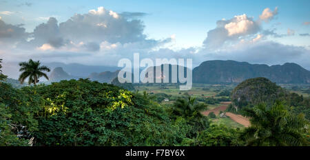 Vinales Valley with karst mountains, view from the Hotel Los Jazmines the valley, panoramic views, hills, Viñales, Cuba,