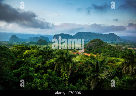 Farmhouse, farmer's cottage, barn for drying tobacco leaves, tobacco fields and the mountains of Mogotes, Viñales Valley Stock Photo