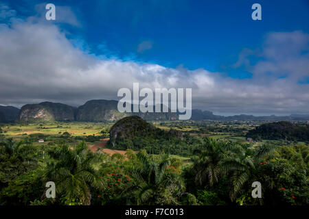 Farmhouse, farmer's cottage, barn for drying tobacco leaves, tobacco fields and the mountains of Mogotes, Viñales Valley with ka Stock Photo