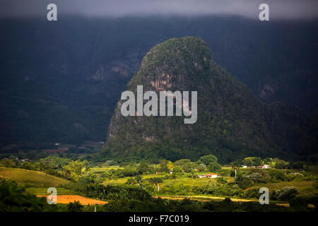 Farmhouse, farmer's cottage, barn for drying tobacco leaves, tobacco fields and the mountains of Mogotes, Viñales Valley with ka Stock Photo