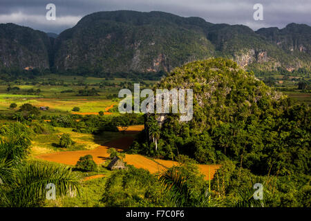 Farmhouse, farmer's cottage, barn for drying tobacco leaves, tobacco fields and the mountains of Mogotes, Viñales Valley with ka Stock Photo