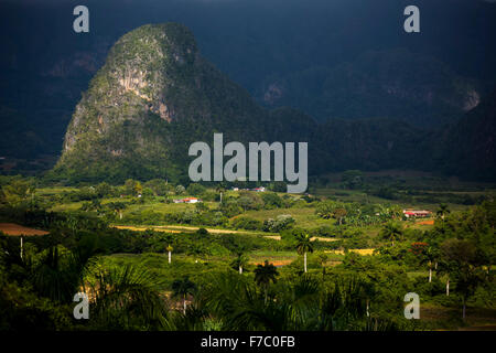 Farmhouse, farmer's cottage, barn for drying tobacco leaves, tobacco fields and the mountains of Mogotes, Viñales Valley with ka Stock Photo