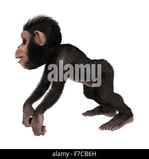 3D digital render of a little chimpanzee monkey isolated on white background Stock Photo