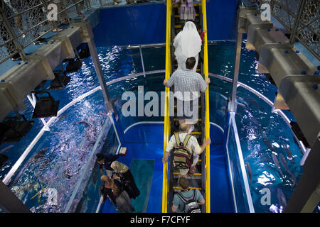 Dubai Aquarium and underwater Zoo, part of Dubai Mall in Dubai, United Arab Emirates. Stock Photo