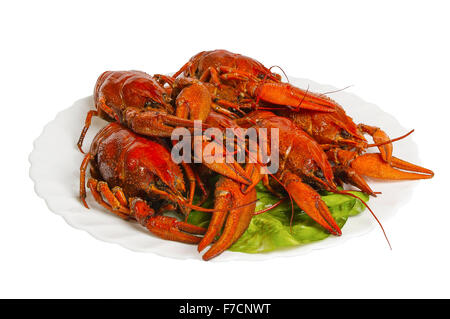 Boiled crayfishes on the plate, isolated on white background Stock Photo