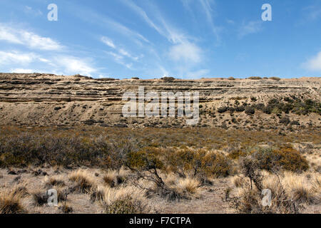 El Pedral cliffs, near Puerto Madryn ,Chubut Province, Patagonia, Argentina. Sanctuary of the Global Penguin Society. Stock Photo