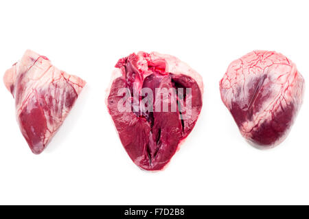 Hearts coated with a layer of fat caused by high cholestrol lipid lipids damage, one dissected to show ventricle and atrium chamber Stock Photo
