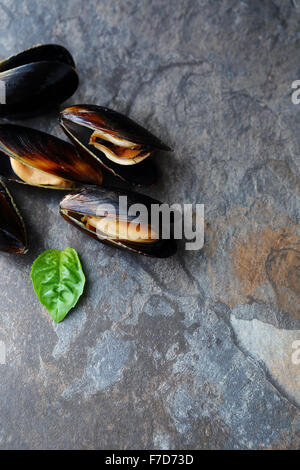 fresh mussels on stone background, food Stock Photo