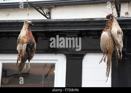 Pheasants hanging above a traditional butchers shop in Shropshire, England. Butchers shops selling game birds are now a minority Stock Photo