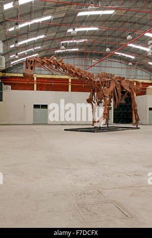 Worlds largest dinosaur reconstructed skeleton at Predio Ferial, Trelew, Chubut Region Patagonia, Argentina. Discovered 2014 Stock Photo