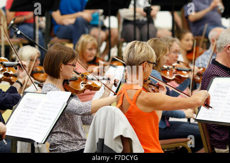 Violin players in an orchestral rehearsal Stock Photo