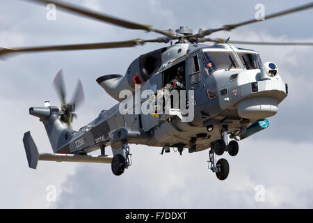 AgustaWestland AW159 Wildcat HMA.2 ZZ515 Maritime Attack Helicopter, 825 Naval Air Squadron, RNAS Yeovilton. Stock Photo