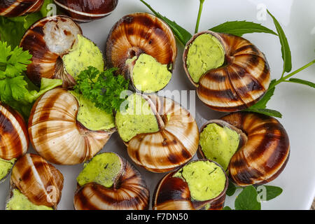 Escargot with parsley butter with salat leaves and mint Stock Photo