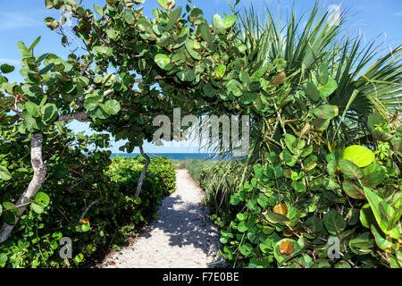 Vero Beach Florida,North Hutchinson Orchid Island public path Stock Photo