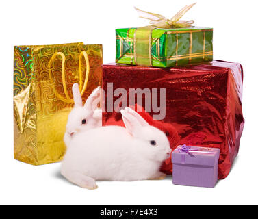 Two white rabbits with gifts. Isolated on white background Stock Photo ...