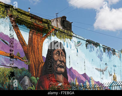 Wall mural showing an indigenous Native Indian. Stock Photo