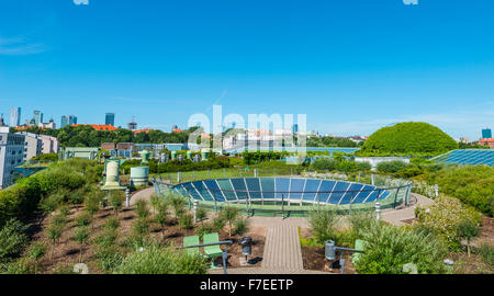 Overgrown roof, roof garden, University Library, Warsaw, Mazovia Province, Poland Stock Photo