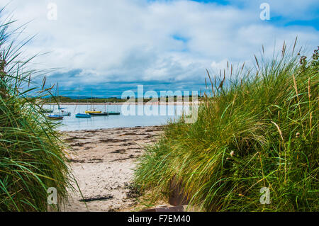 a look out to the coast through the grasses in Northumberland Ray Boswell Stock Photo