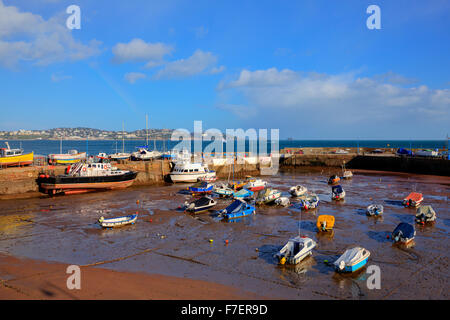 Paignton harbour Devon England uk in colourful HDR with boats at low tide and view to Torquay Stock Photo