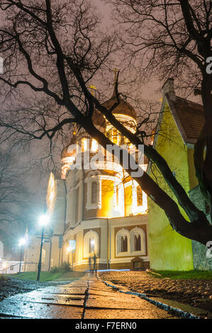 Alexander Nevsky Cathedral illuminated by night. Tallinn, Estonia Stock Photo